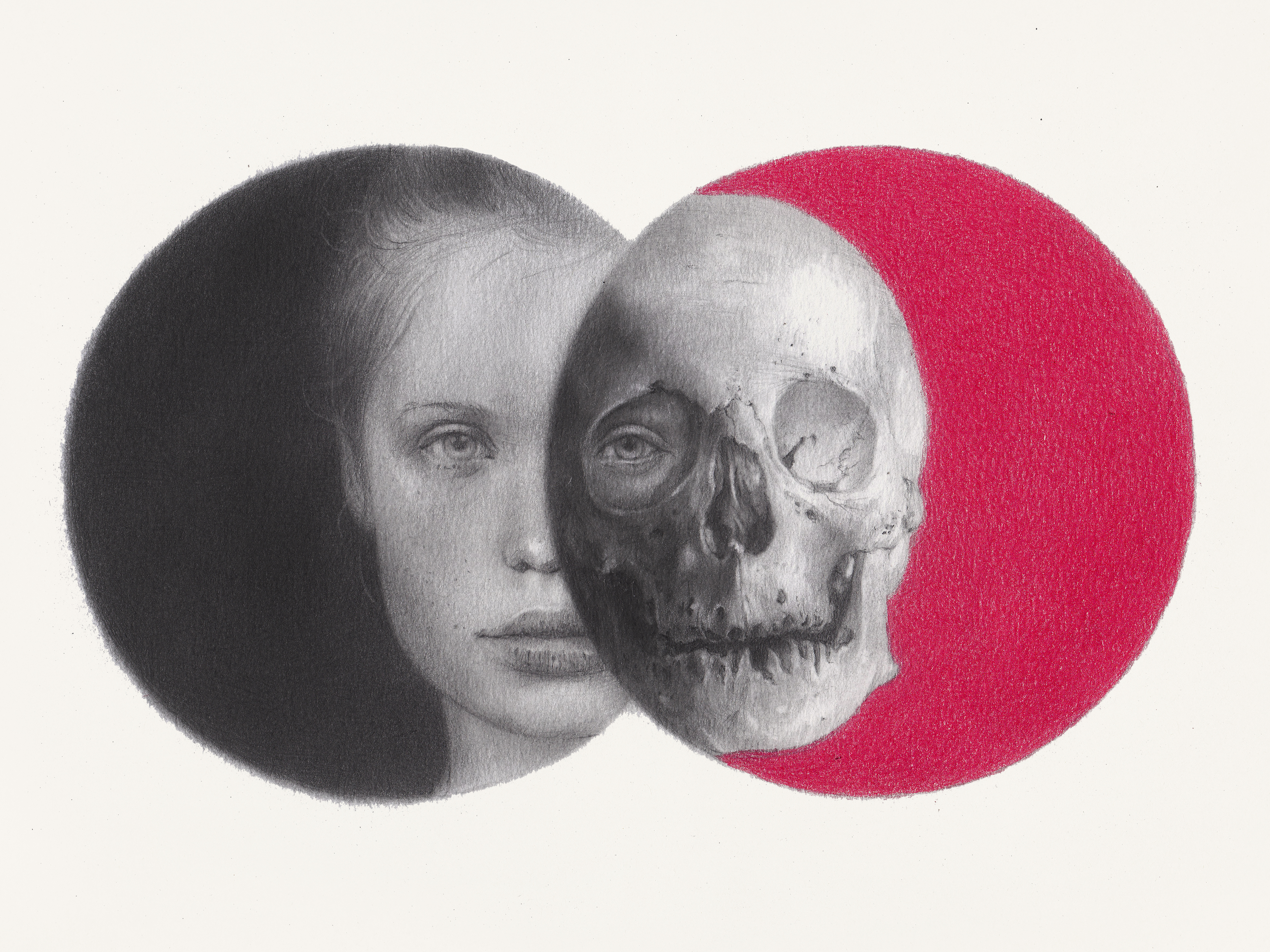 Falsehood