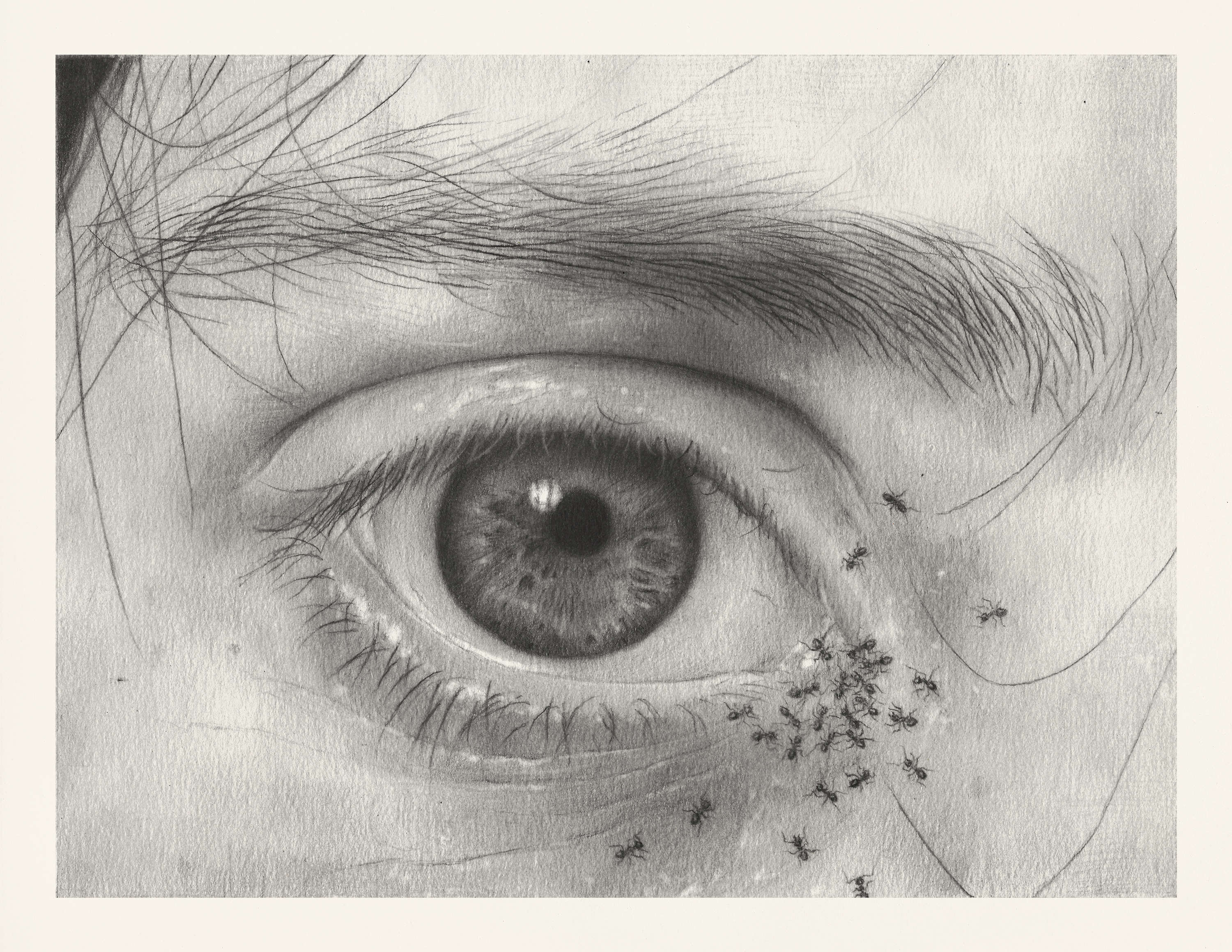 Even To Stop Seeing Hurts the Eyes