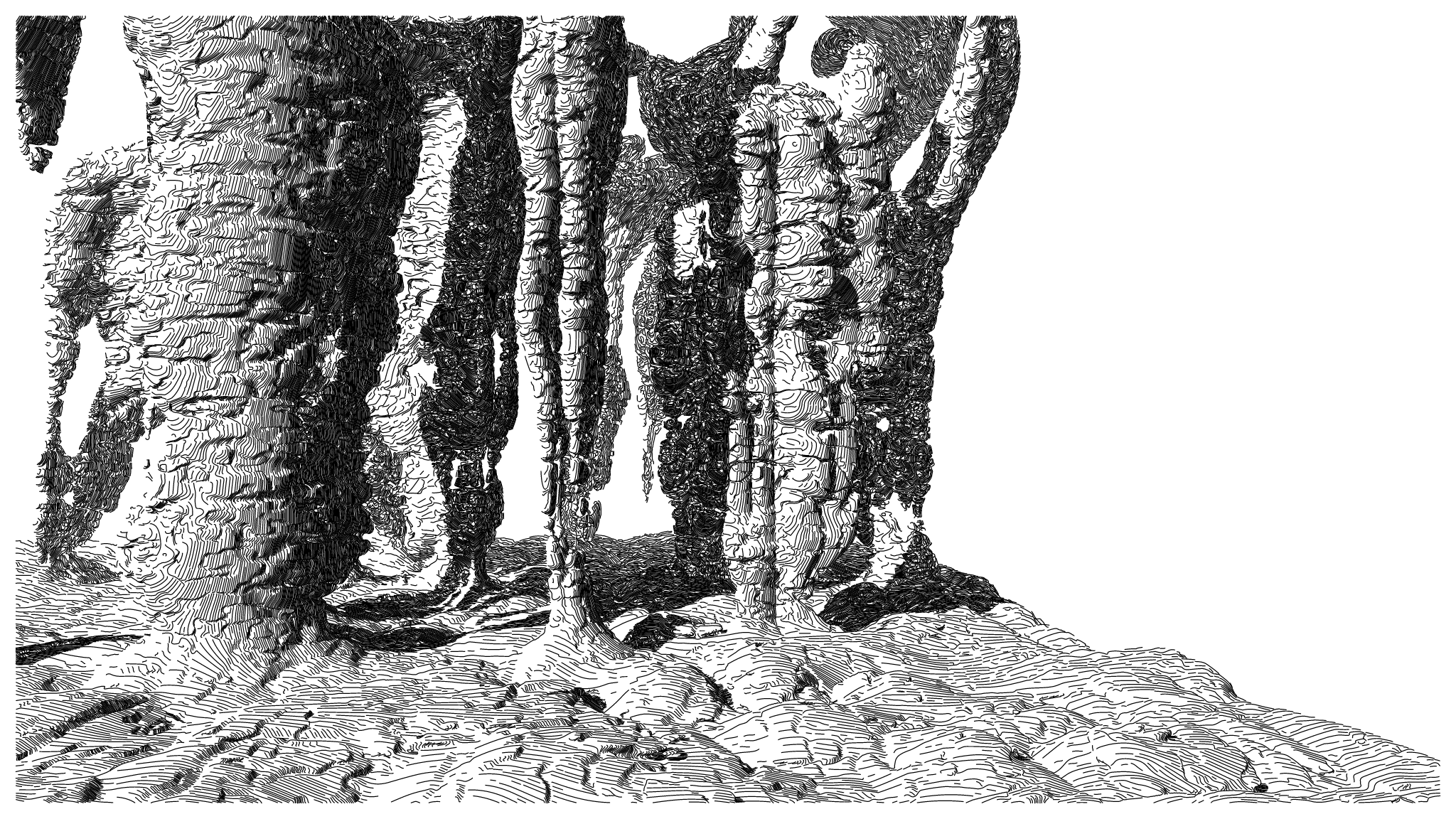 GEOMORPHISM #132