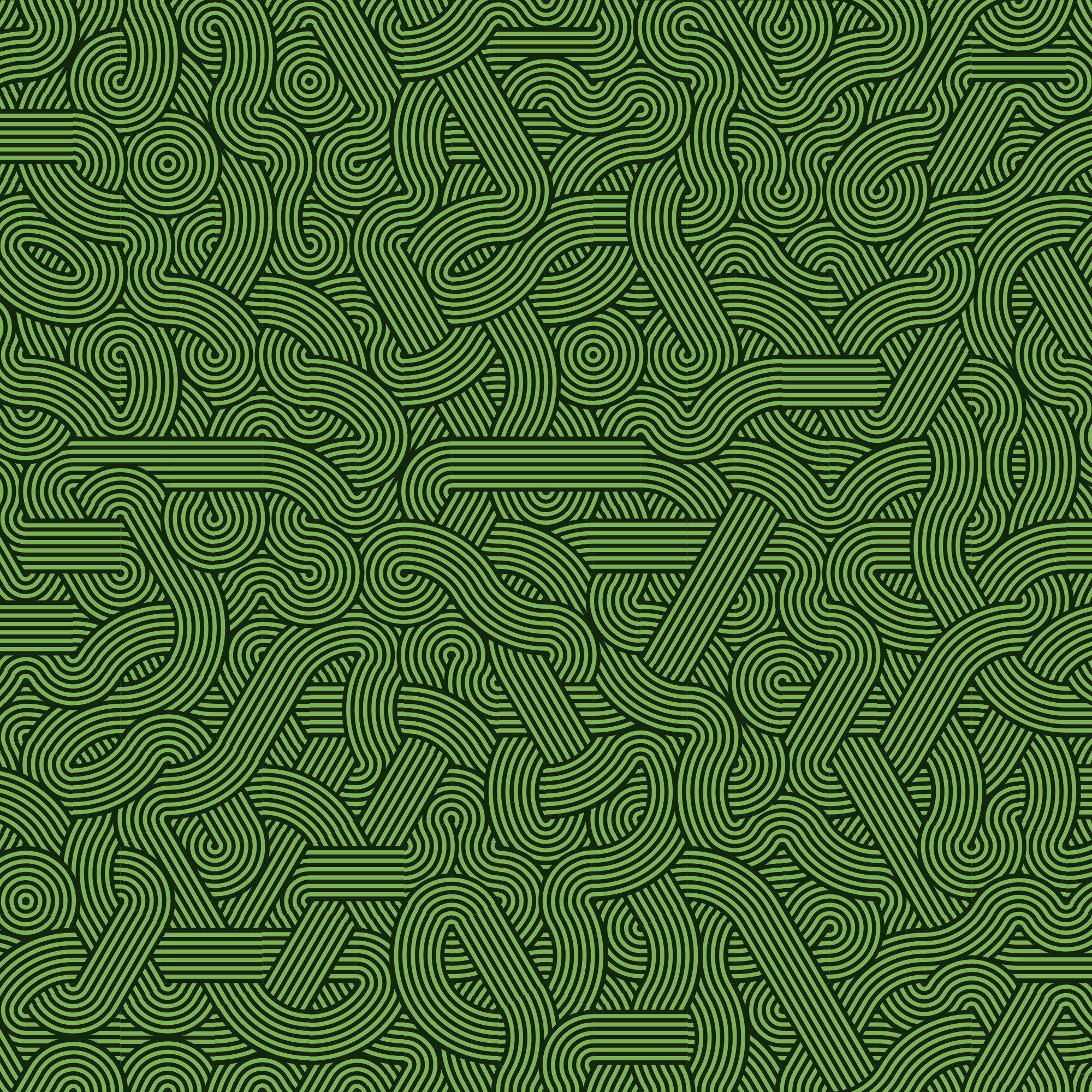 Wanderer #347